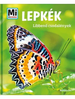 Lepkék