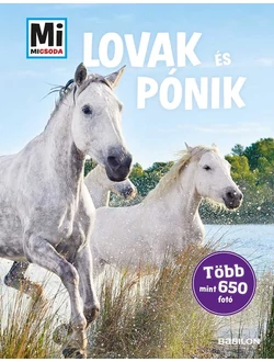 Lovak és pónik