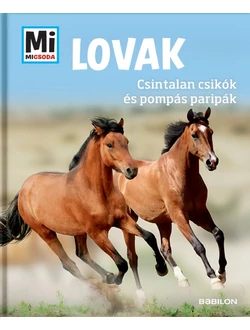 Lovak