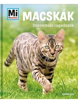 Macskák