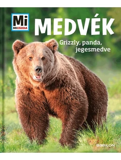 Medvék
