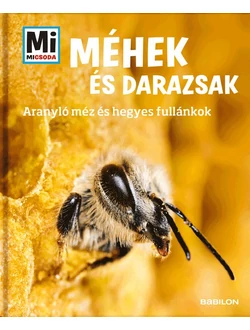 Méhek és darazsak