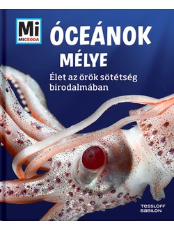 Óceánok mélye