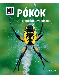 Pókok