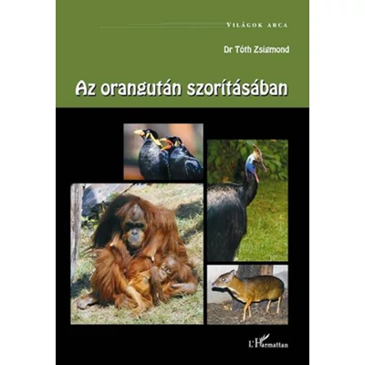 Az orangután szorításában