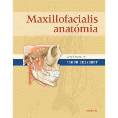 Maxillofaciális anatómia