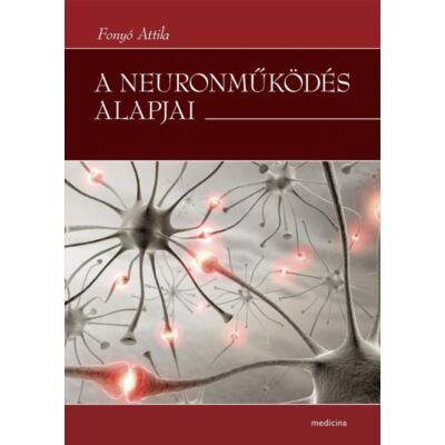 A neuronműködés alapjai
