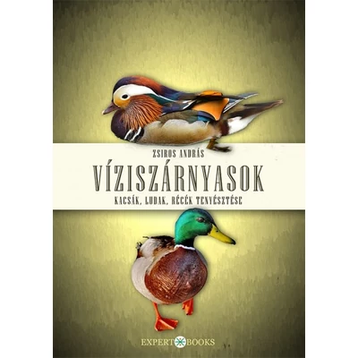 Víziszárnyasok