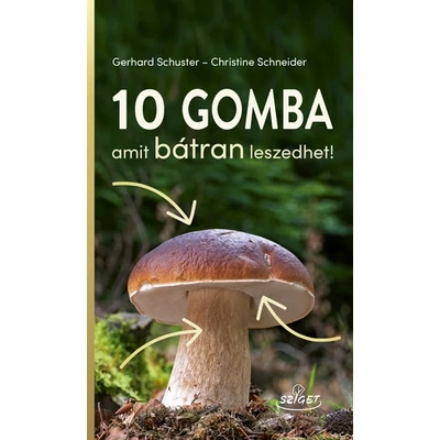 10 gomba – amit bátran leszedhet!