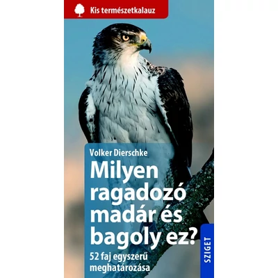 Milyen ragadozó madár és bagoly ez?