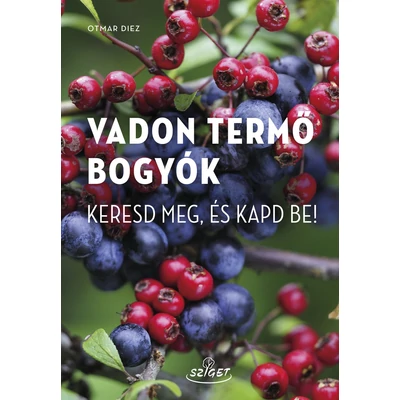 Vadon termő bogyók