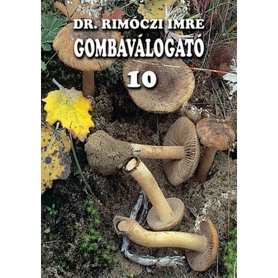 Gombaválogató 10.