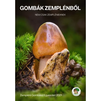 Gombák Zemplénből