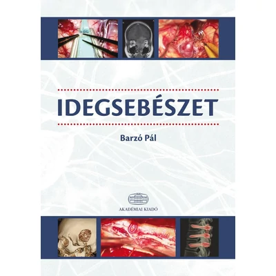 Idegsebészet