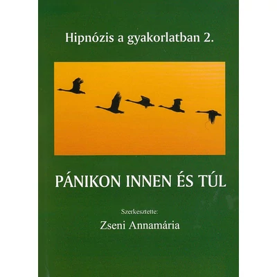 Pánikon innen és túl