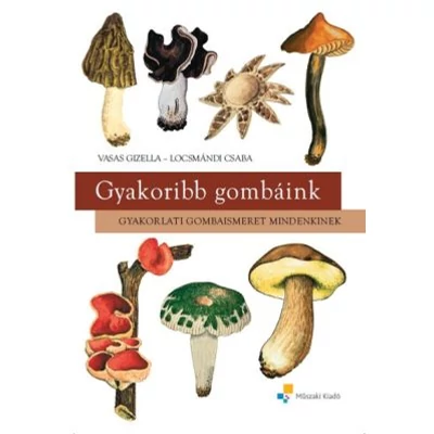 Gyakoribb gombáink