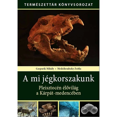 A mi jégkorszakunk