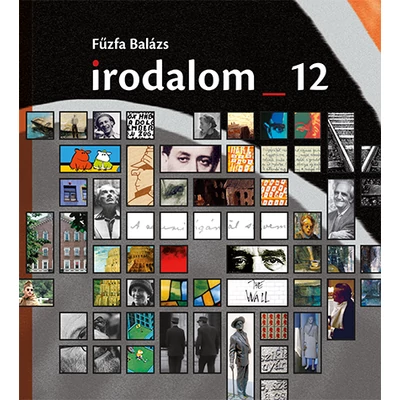 irodalom_12 (KN 4012)