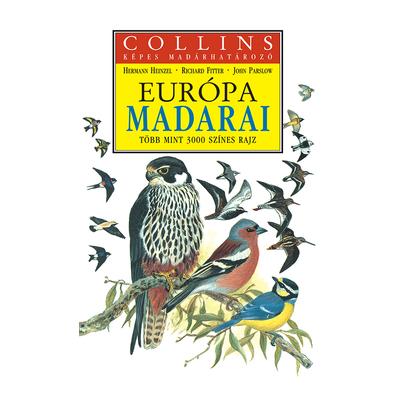 Európa madarai