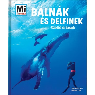 Bálnák és delfinek