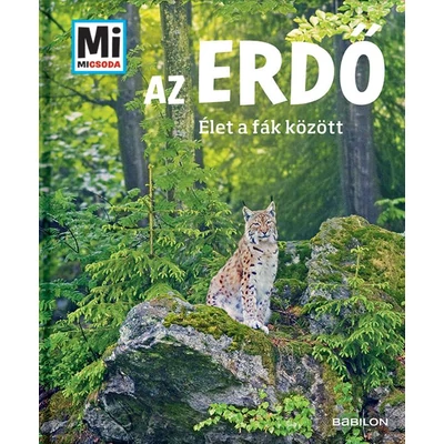 Az erdő