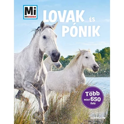 Lovak és pónik