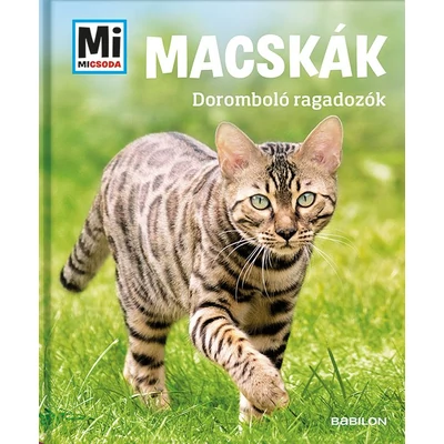 Macskák