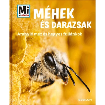 Méhek és darazsak