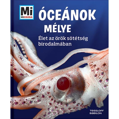 Óceánok mélye