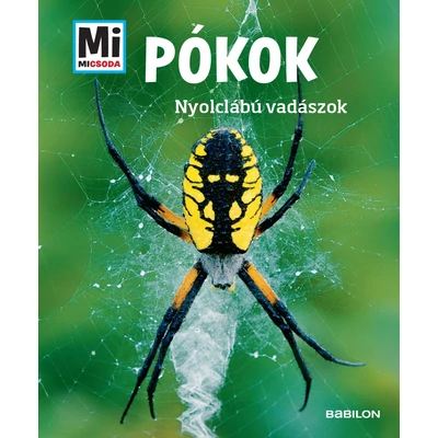 Pókok