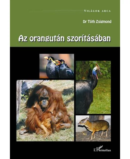 Az orangután szorításában