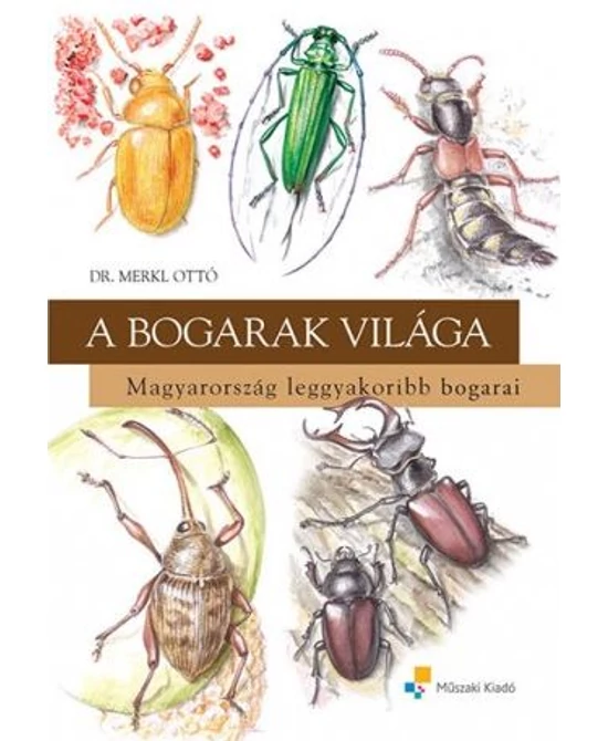 A bogarak világa