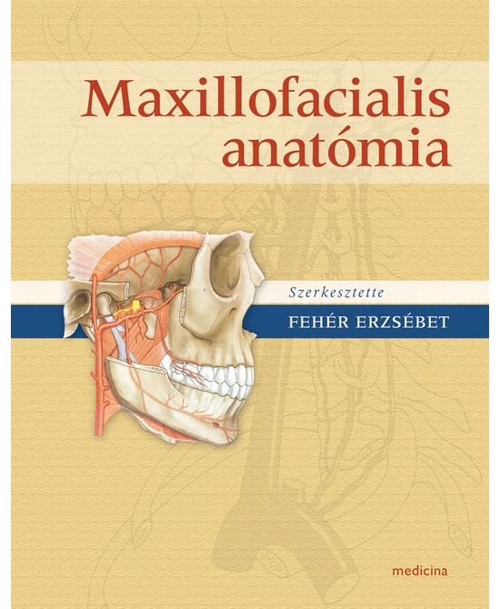 Maxillofaciális anatómia