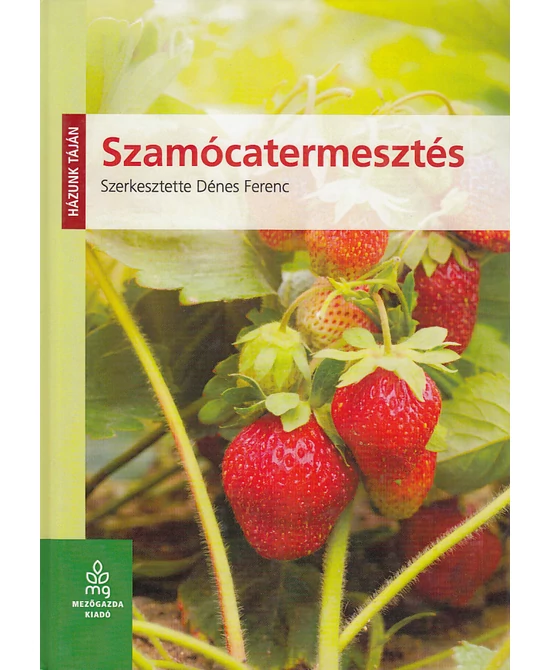 Szamócatermesztés