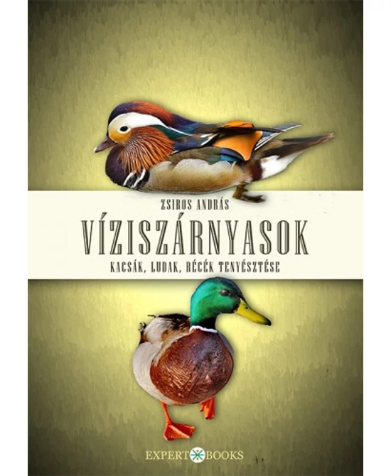 Víziszárnyasok