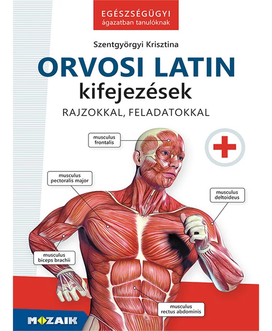 Orvosi latin kifejezések