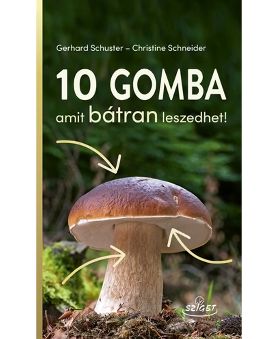 10 gomba – amit bátran leszedhet!