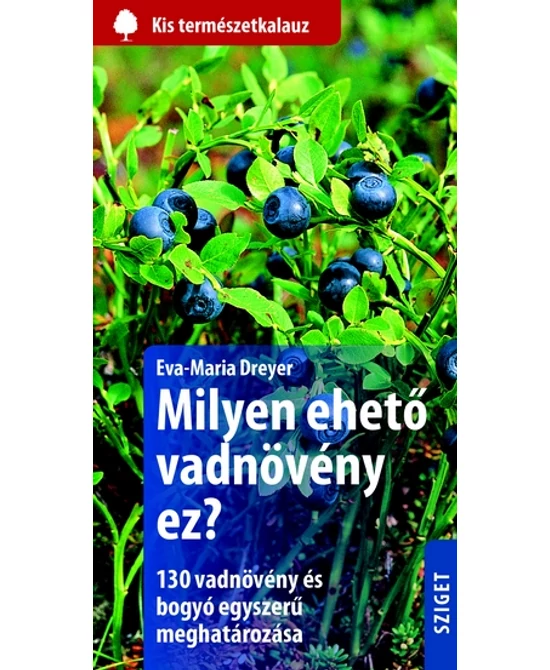 Milyen ehető vadnövény ez?