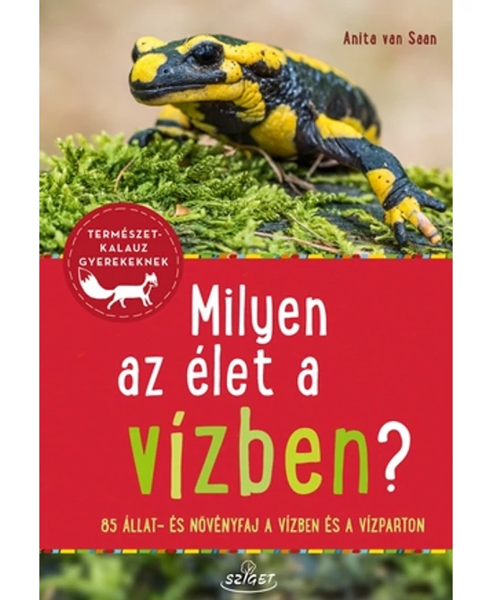 Milyen az élet a vízben?