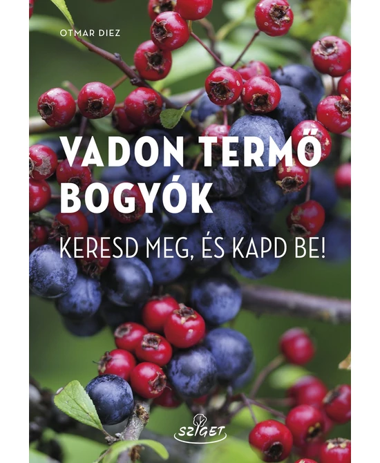 Vadon termő bogyók
