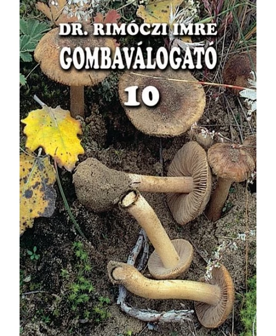 Gombaválogató 10.