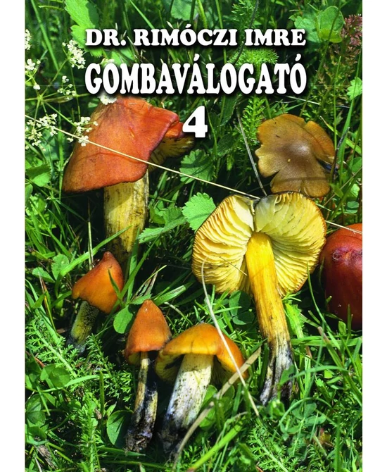 Gombaválogató 4.
