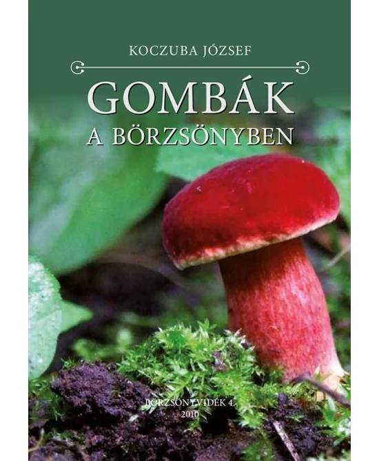 Gombák a Börzsönyben