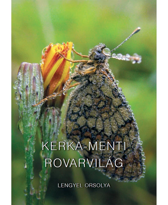 Kerka-menti rovarvilág