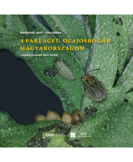 A parlagfű-olajosbogár Magyarországon
