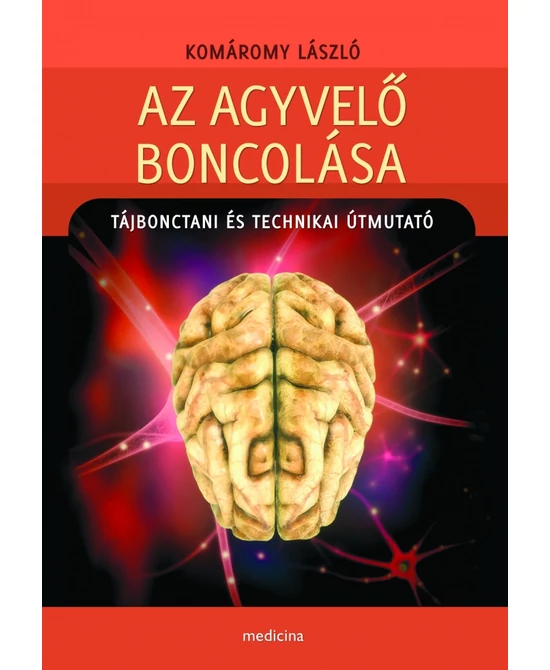 Az agyvelő boncolása