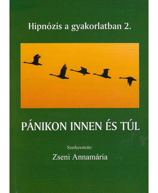 Pánikon innen és túl