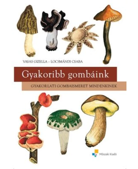 Gyakoribb gombáink