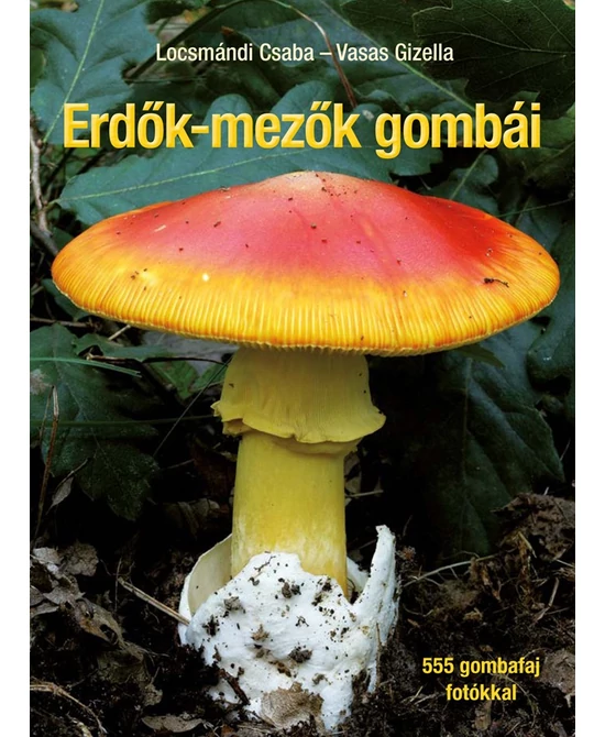 Erdők-mezők gombái