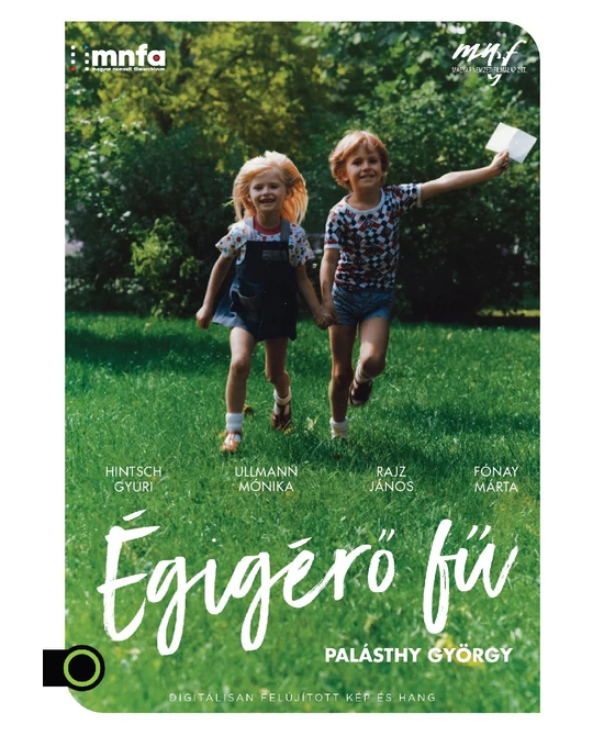 Égigérő fű (DVD)